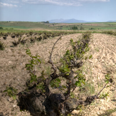 Castilla Y Leon