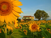 Podere San Cristoforo