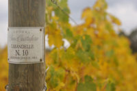 Podere San Cristoforo