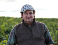Vins del Massis