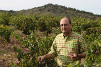 Coto de Hayas