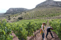 Coto de Hayas
