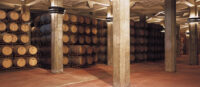 Coto de Hayas