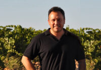 Grandes Vinos y Viñedos