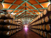 Grandes Vinos y Viñedos