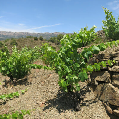 Priorat