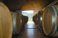 Vins del Massis