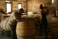 Vins del Massis