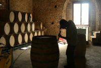 Vins del Massis