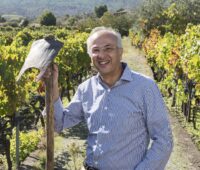 Tenuta Delle Macchie
