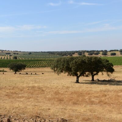 Alentejo