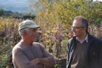 Pietro Caciorgna