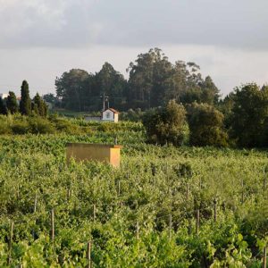 Bairrada