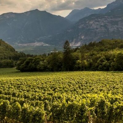 Trento