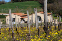 Tenuta Delle Macchie