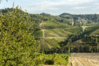 Cantina di Carpi e Sorbara