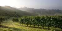 Vietti