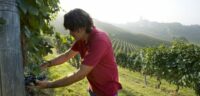 Vietti
