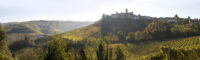 Vietti