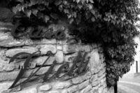 Vietti