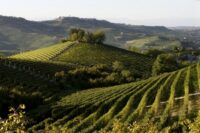 Vietti