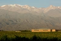 Finca Sophenia