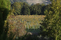 Quinta do Ameal