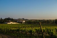 Herdade da Calada