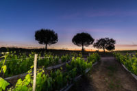 Herdade da Calada