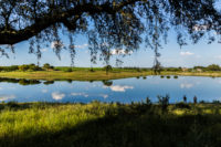 Herdade da Calada