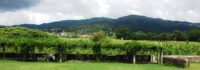 Quinta do Ameal