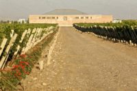 Finca Sophenia