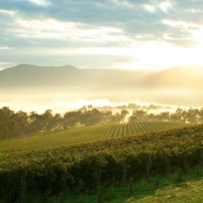 Yarra Valley