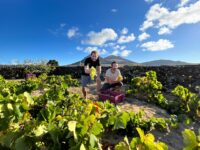 Companhia de Vinhos dos Profetas e Villões