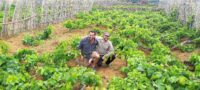 Companhia de Vinhos dos Profetas e Villões