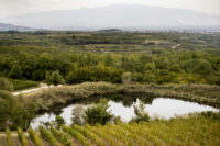 Kir-Yianni
